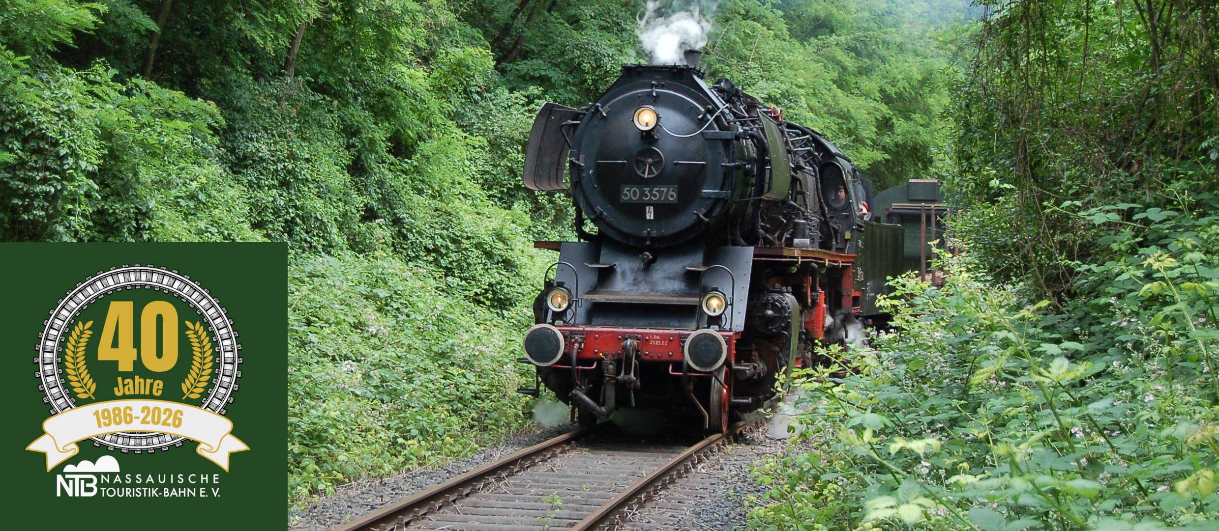Unsere 50 3576 im Wald