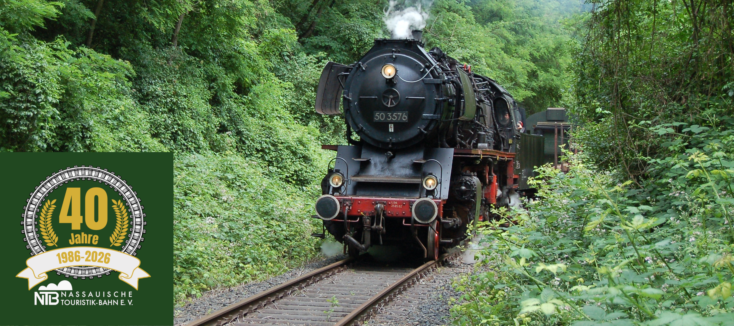 Unsere 50 3576 im Wald